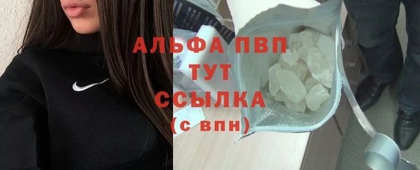 сатива Бронницы