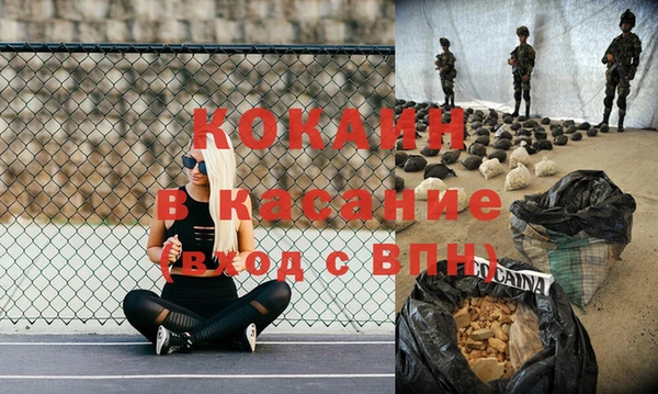 сатива Бронницы