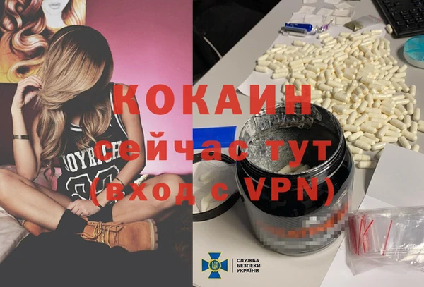 сатива Бронницы