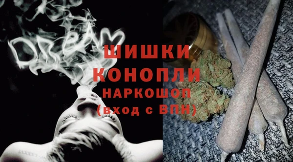 сатива Бронницы