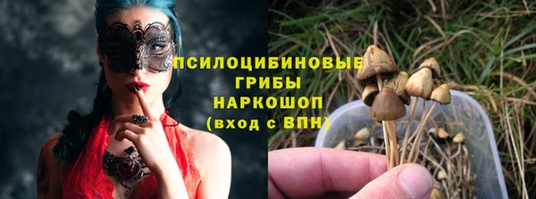 а пвп мука Бугульма