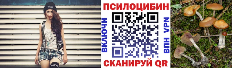 ссылка на мегу рабочий сайт  Щучье  Галлюциногенные грибы мицелий 